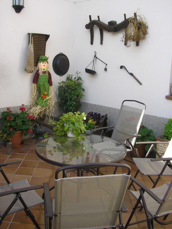 Casa De La Paca Bed and Breakfast Coca Buitenkant foto